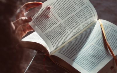 How to Access the Full Potential of Libraries with Integrated Library Systems